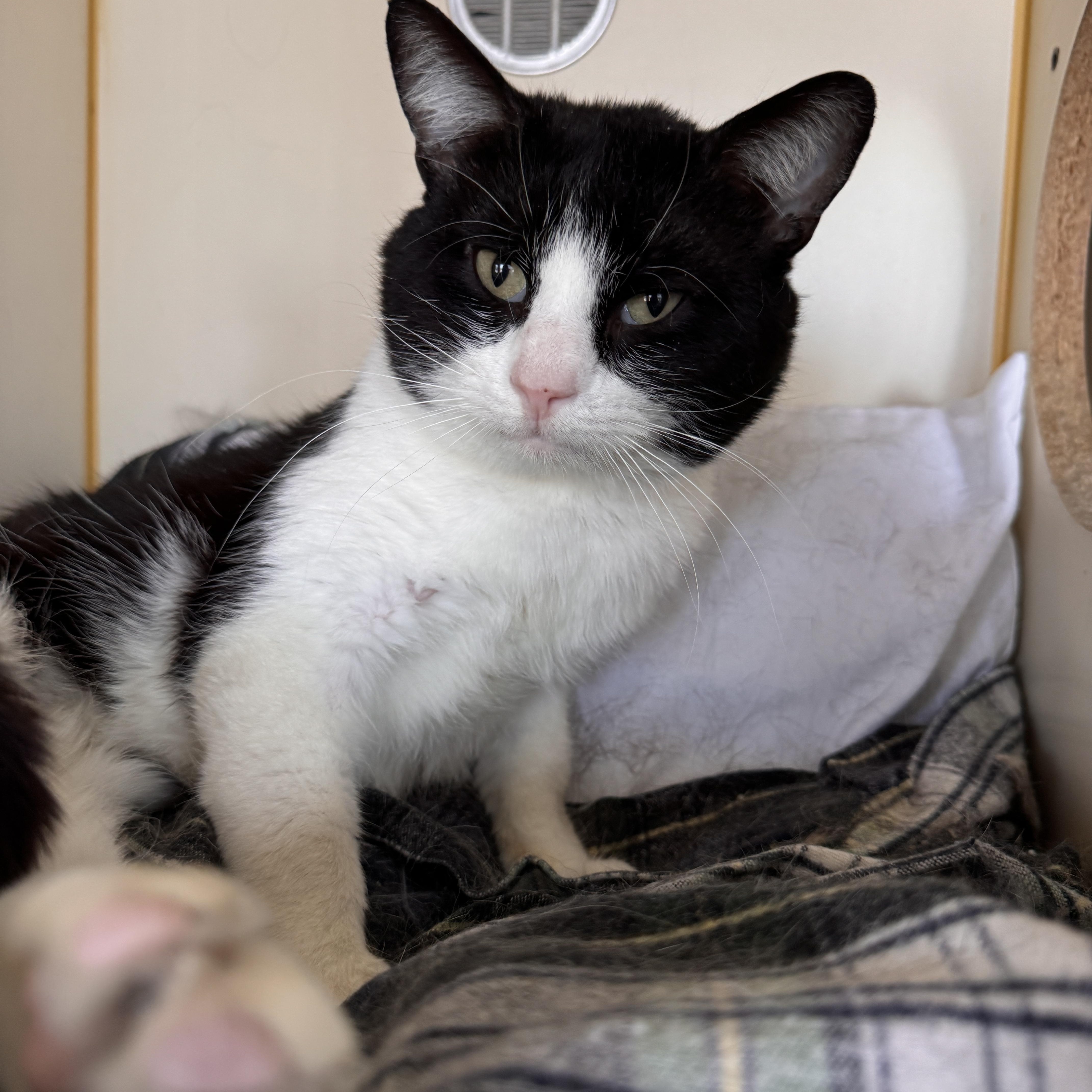 Champagne thumbnail 3