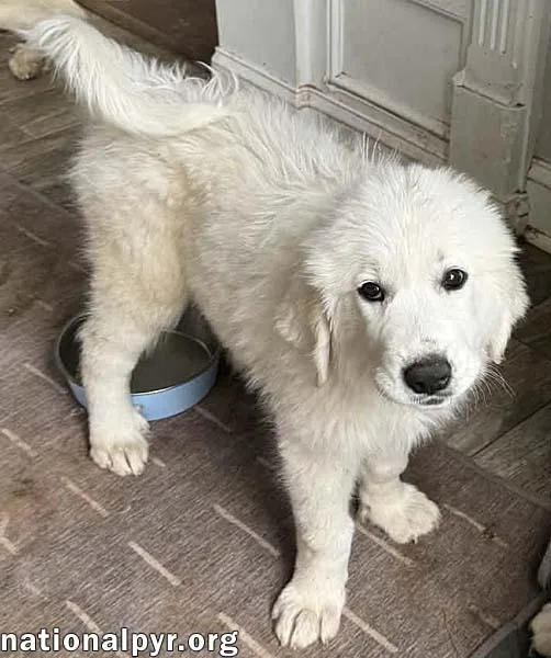 Lucy In Md  thumbnail 2