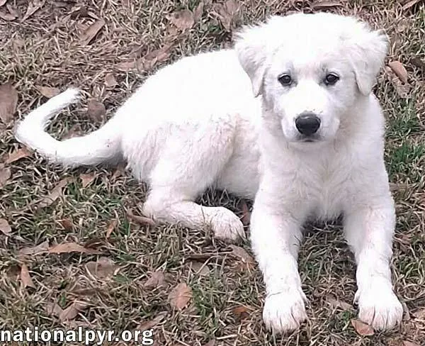 Jessa In La  thumbnail 2