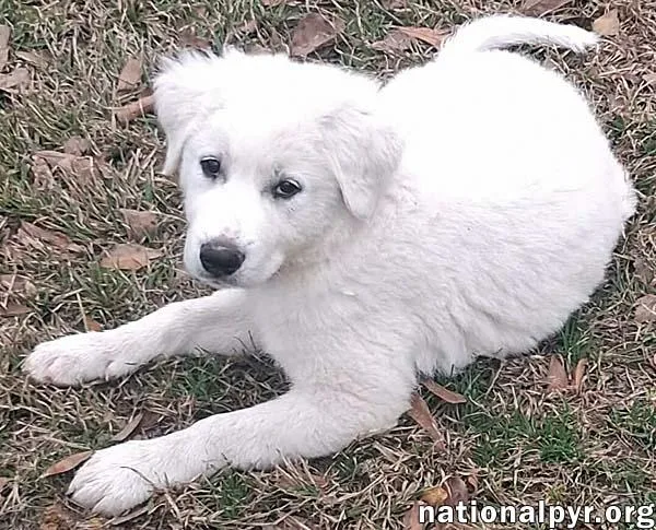 Jessa In La  thumbnail 3