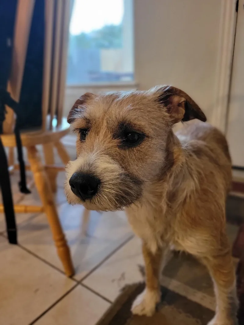 Wyetta Orthw thumbnail 2