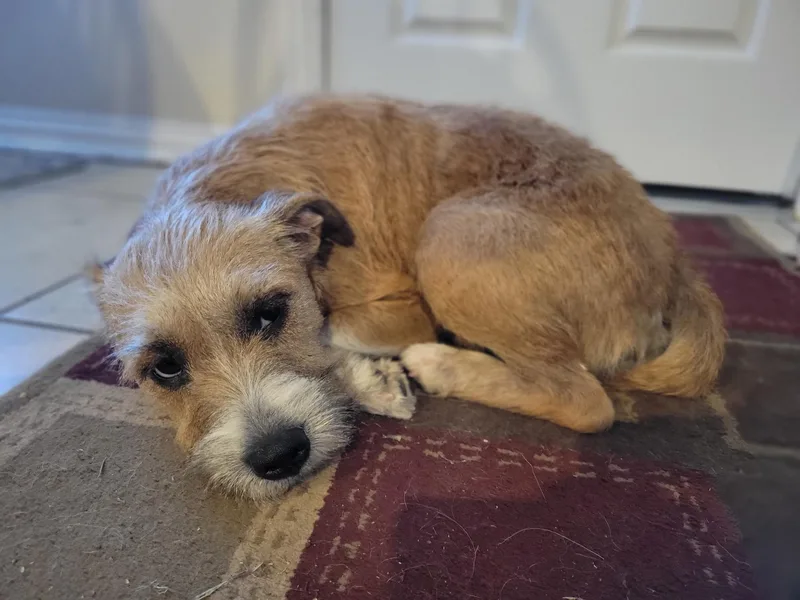 Wyetta Orthw thumbnail 3