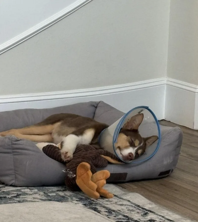 Tucumcari Mvt thumbnail 4