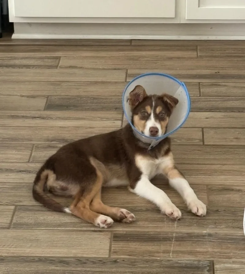 Tucumcari Mvt thumbnail 5