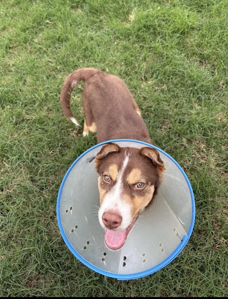 Tucumcari Wvt thumbnail 2