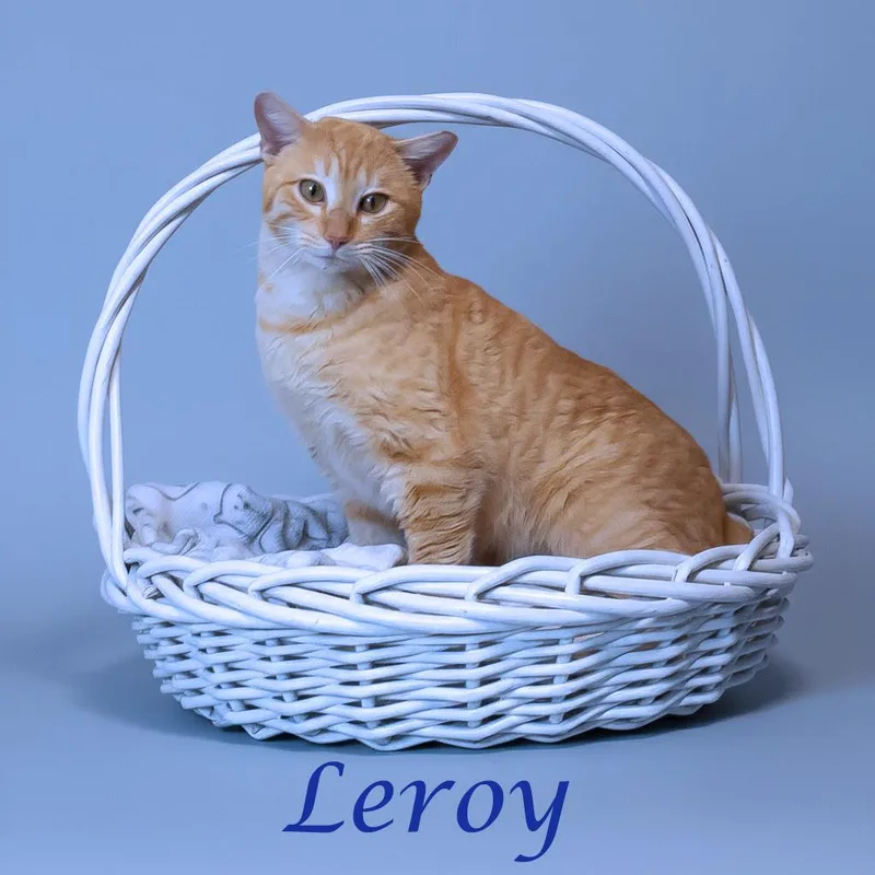 Leroy C