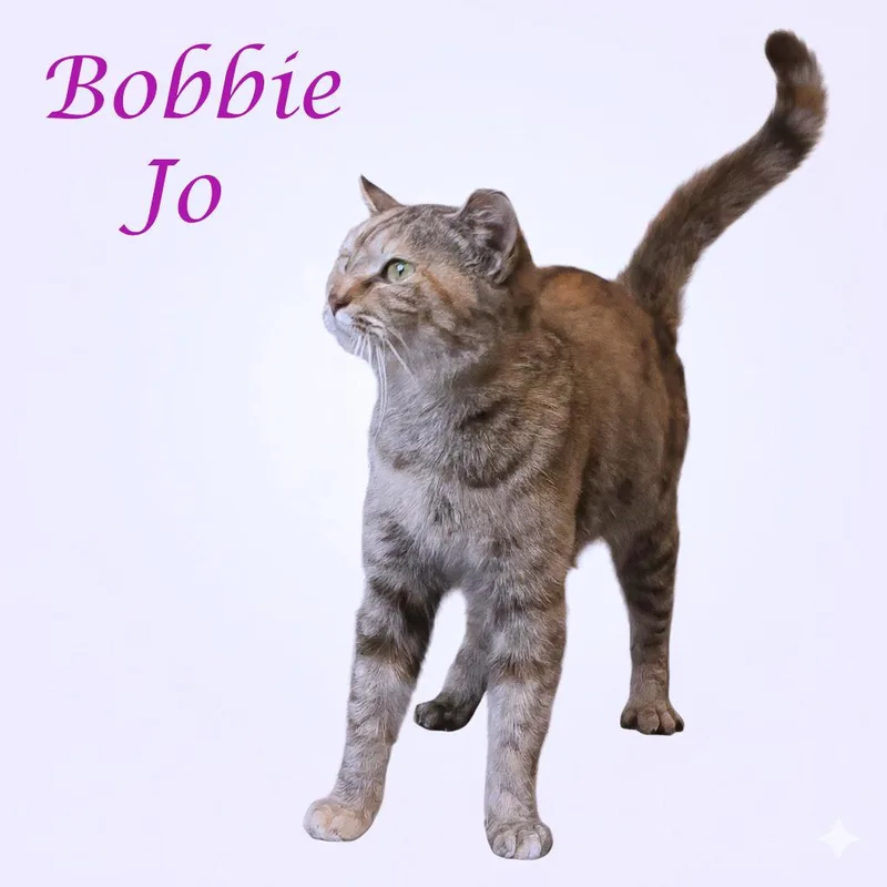 Bobbie Jo C