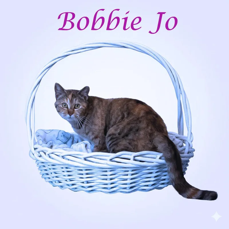 Bobbie Jo C thumbnail 2