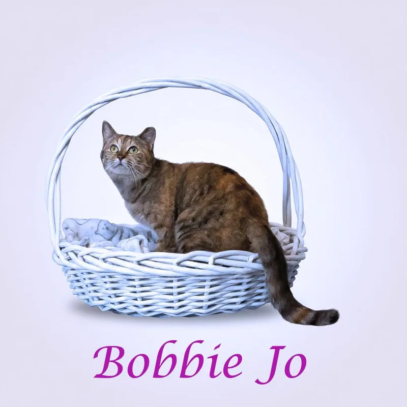Bobbie Jo C thumbnail 3