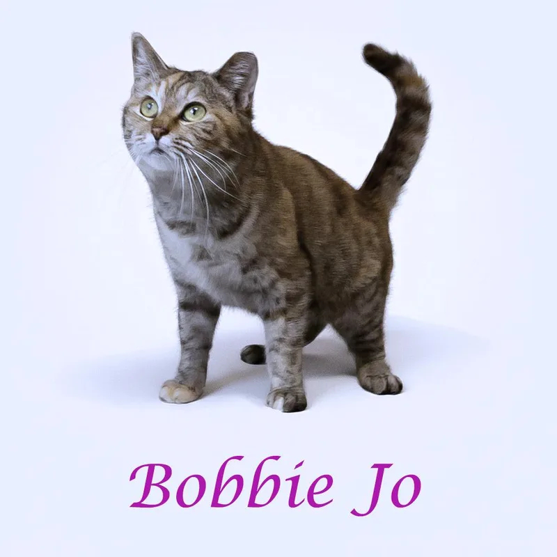 Bobbie Jo C thumbnail 4