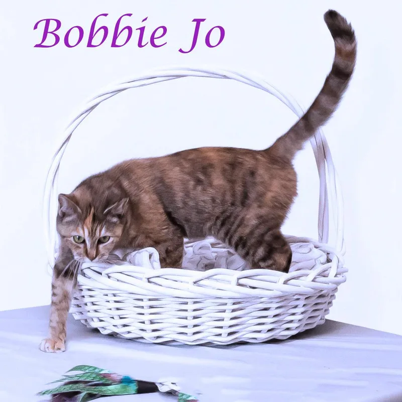 Bobbie Jo C thumbnail 5