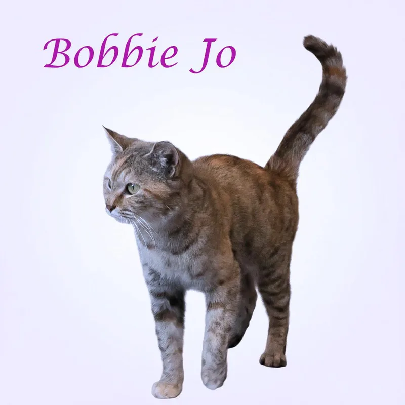 Bobbie Jo C thumbnail 6