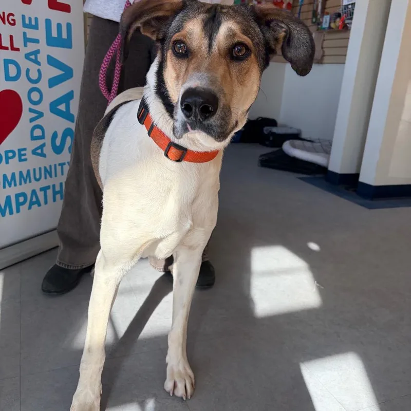 Mister Man thumbnail 2