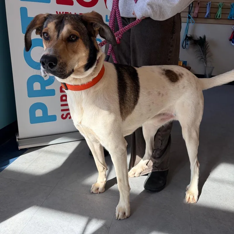 Mister Man thumbnail 3