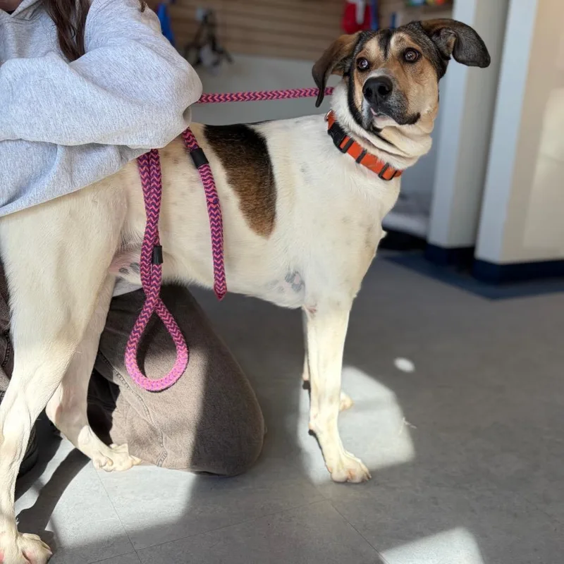 Mister Man thumbnail 4