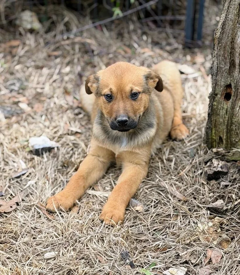 Maverick thumbnail 4