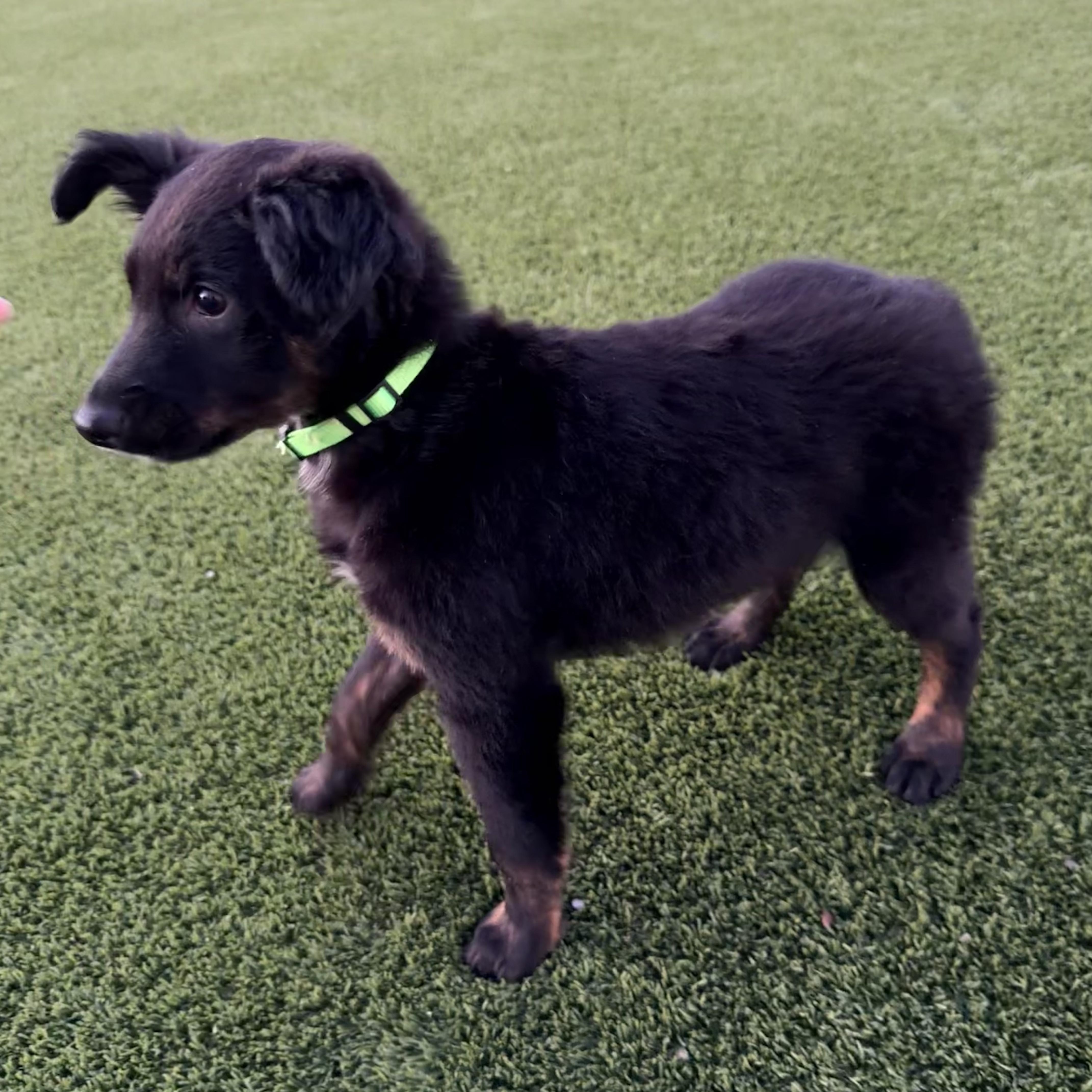 Mr. Bb Derrick thumbnail 5