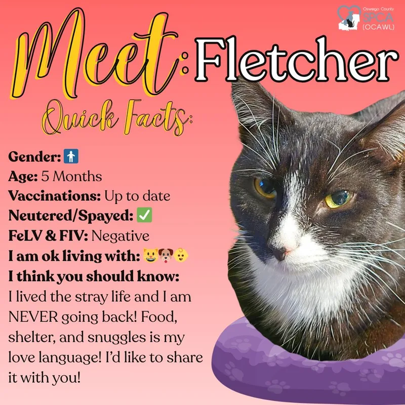 Fletcher