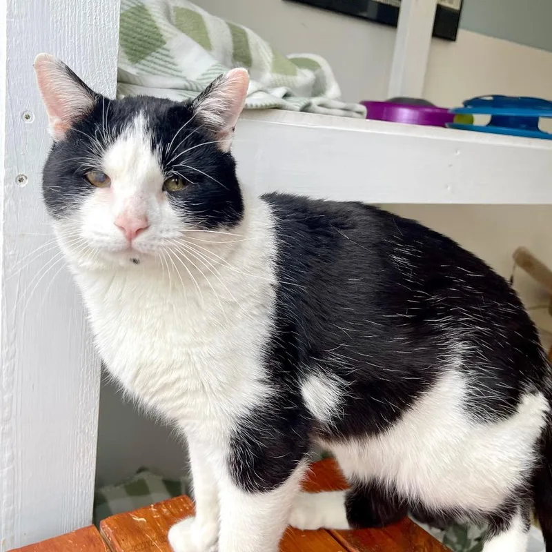 Mr. Bean thumbnail 2