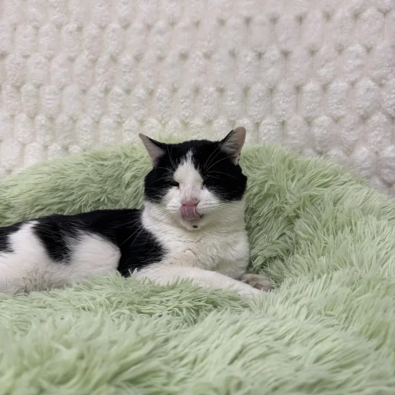 Mr. Bean thumbnail 3