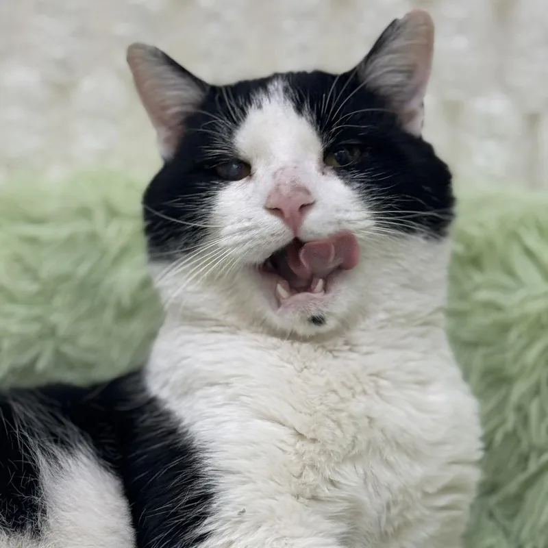 Mr. Bean thumbnail 5