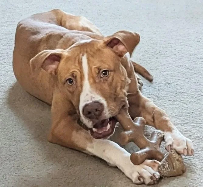 Johnny Cash Sp thumbnail 2