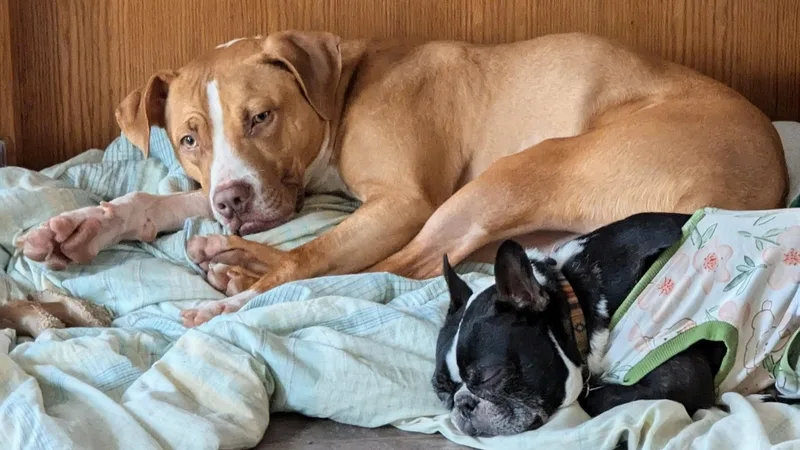 Johnny Cash Sp thumbnail 4