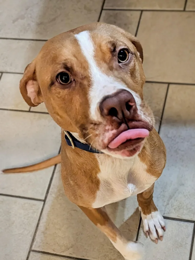 Johnny Cash Sp thumbnail 5