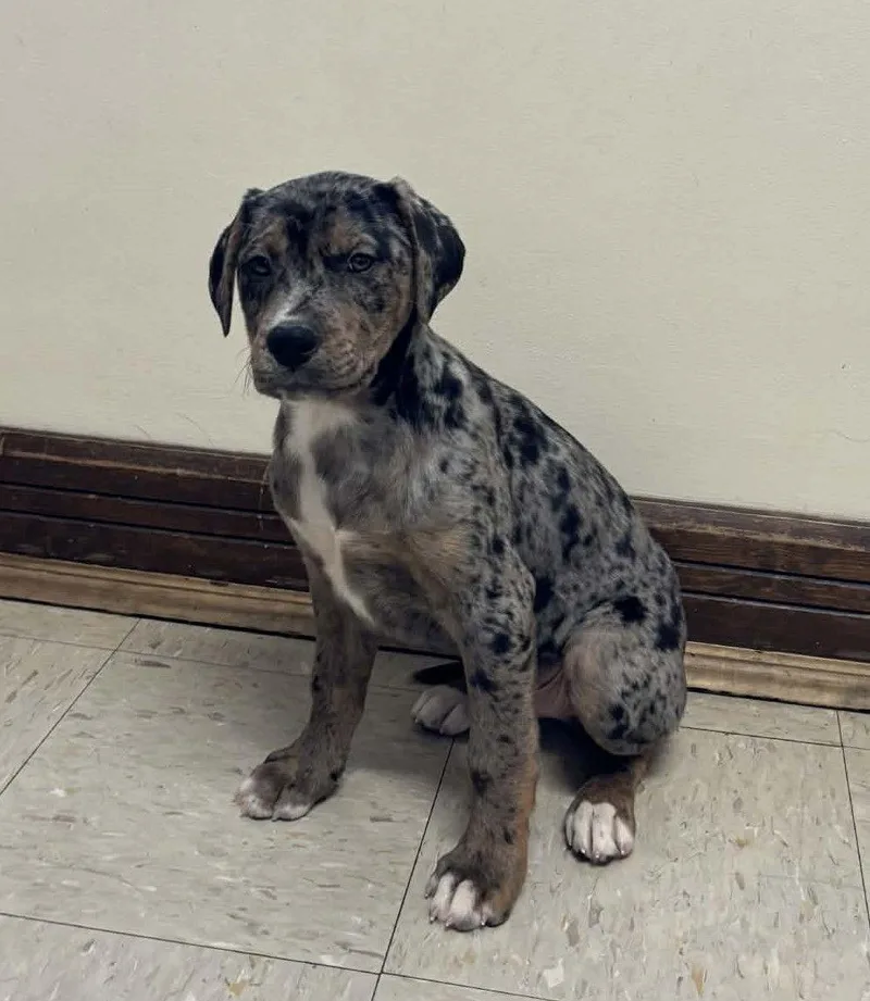 Morgan W thumbnail 2