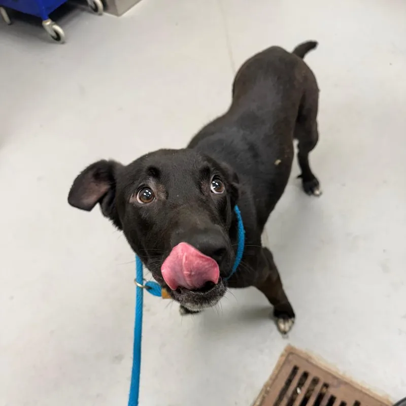 Photographer thumbnail 2