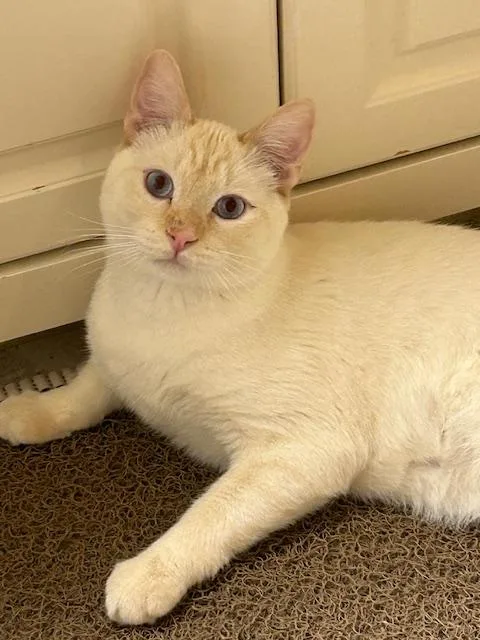 Kingston thumbnail 2