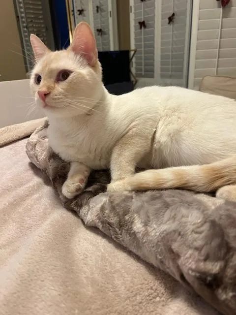 Kingston thumbnail 3