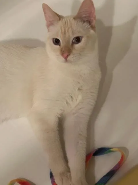 Kingston thumbnail 4