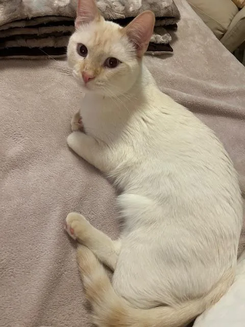 Kingston thumbnail 5