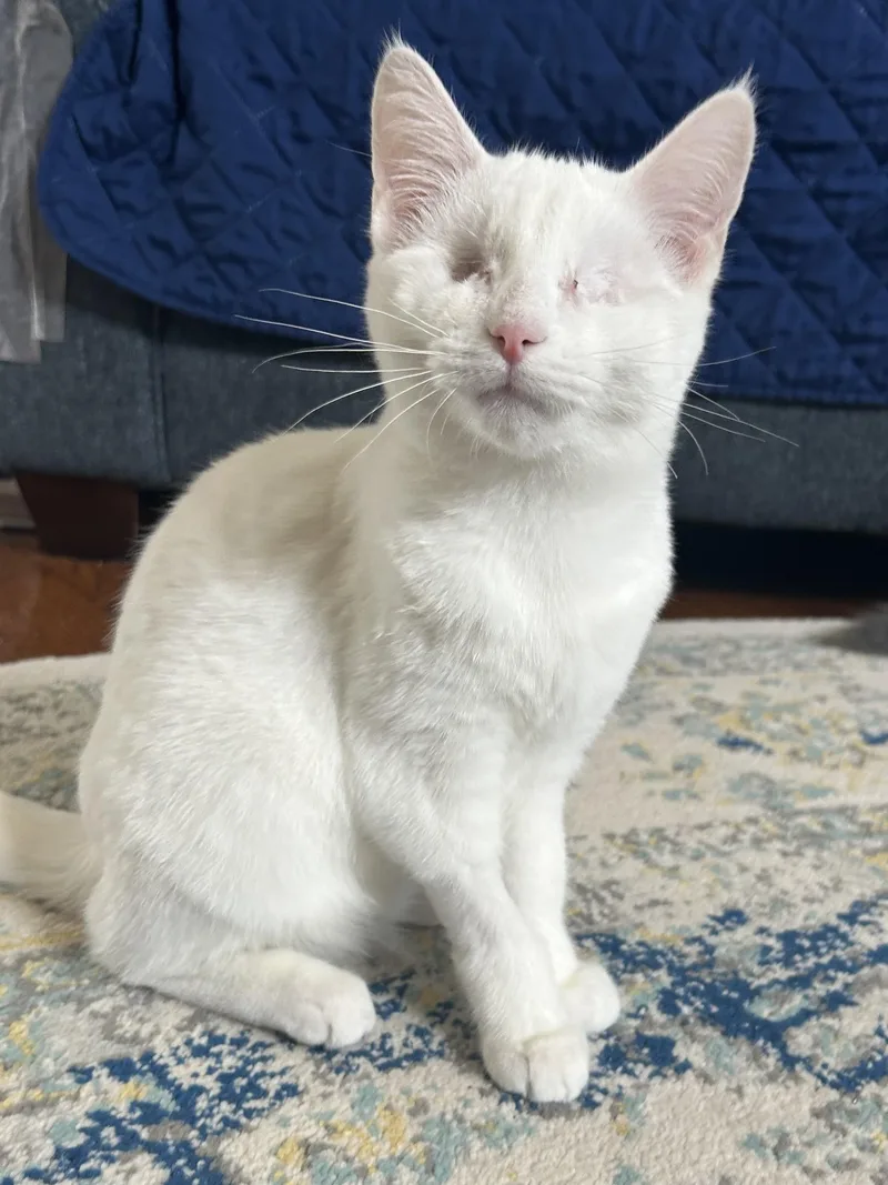 Sleepy & Grumpy thumbnail 3