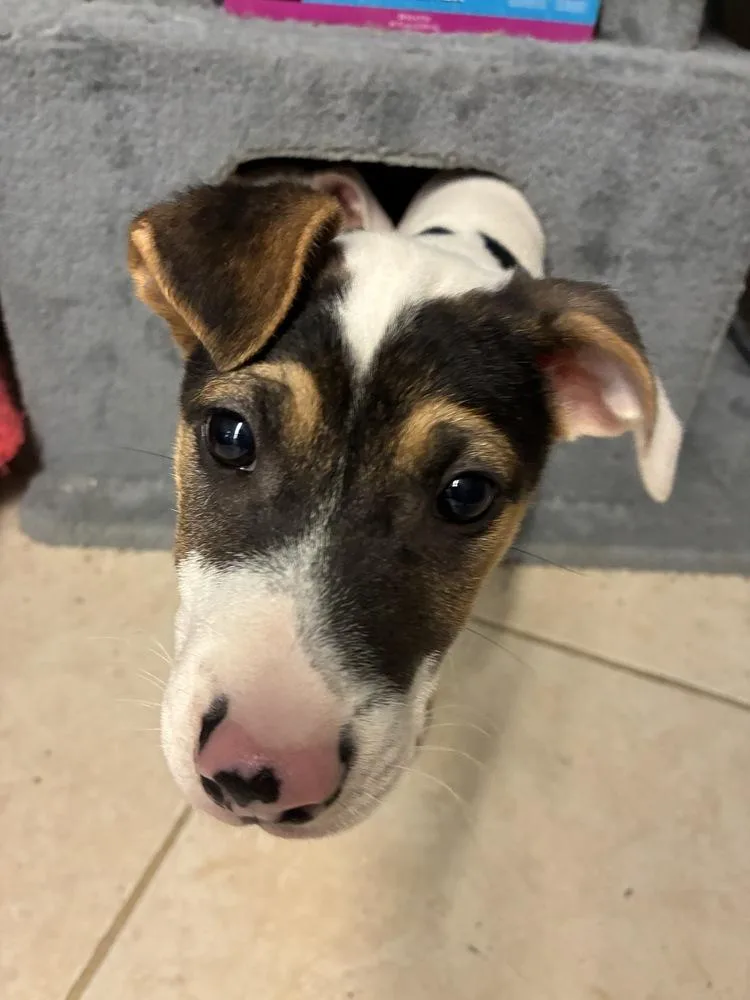 Lovely Linda thumbnail 2