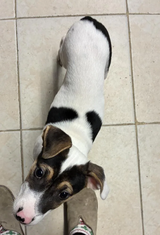 Lovely Linda thumbnail 3