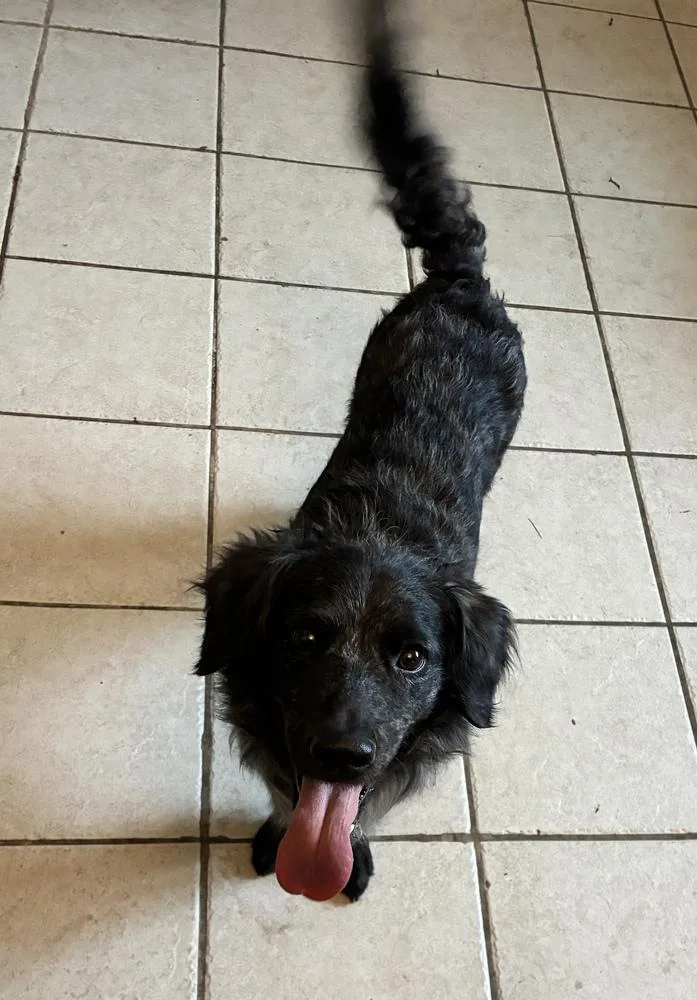 Outstanding Olive Oil photo 1