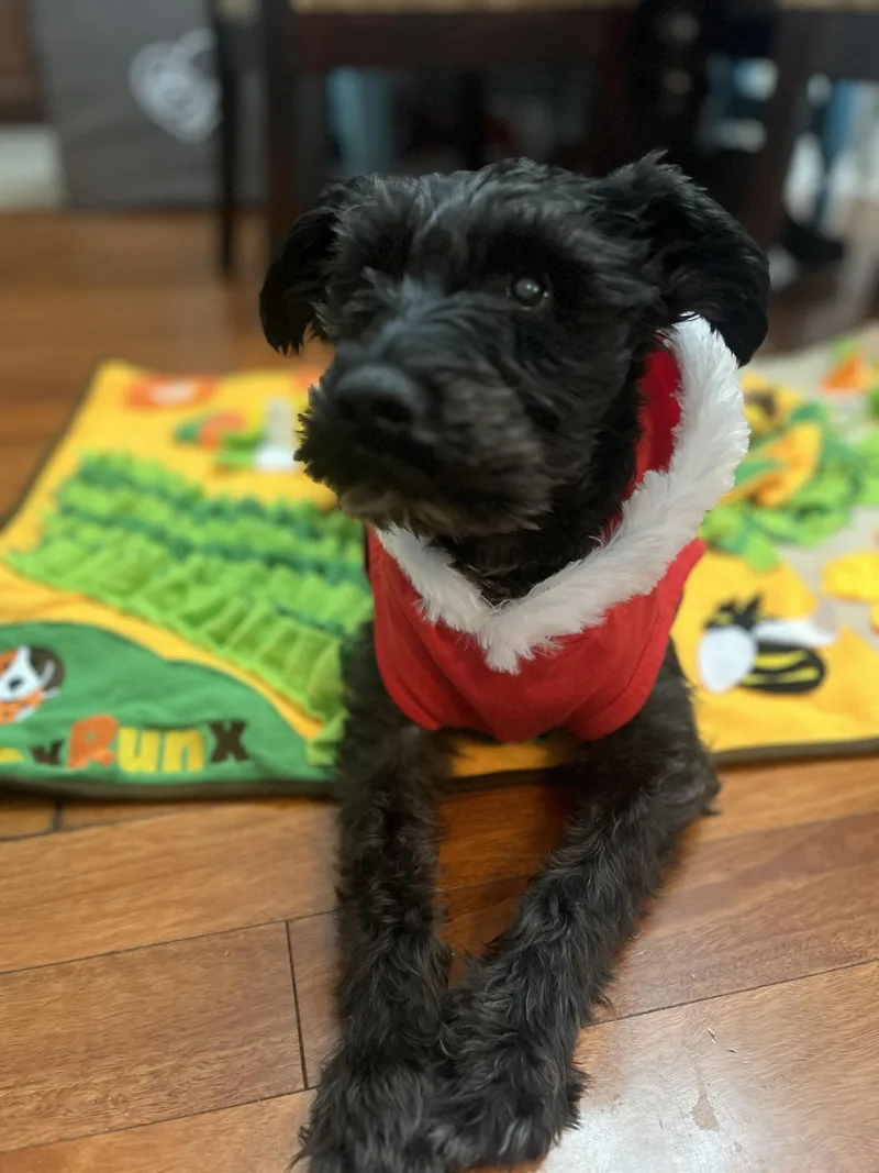 Biggie Smalls thumbnail 2