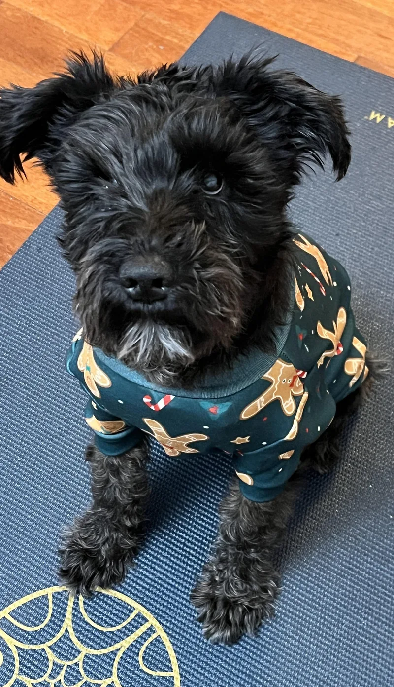 Biggie Smalls thumbnail 3