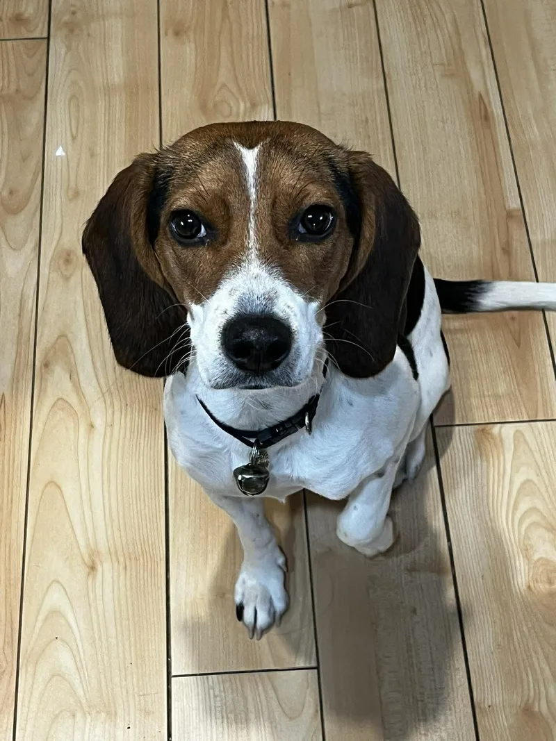 Marielouise thumbnail 2