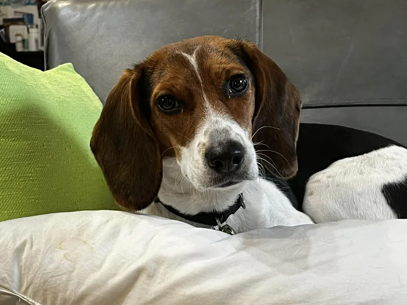 Marielouise thumbnail 3