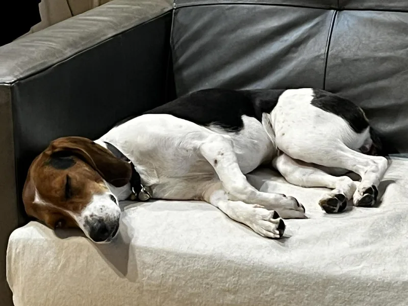 Marielouise thumbnail 4