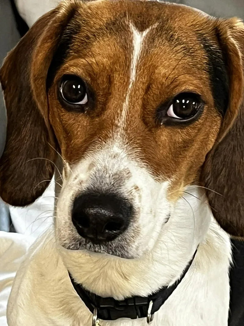 Marielouise thumbnail 5