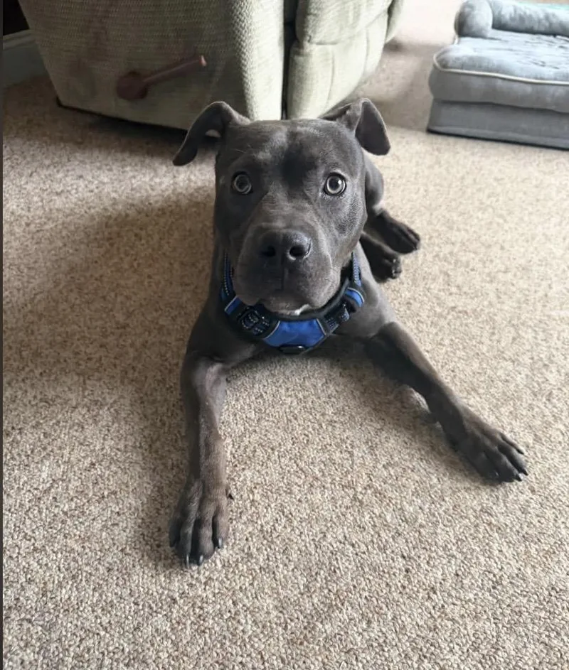 Hubba Bubba thumbnail 4