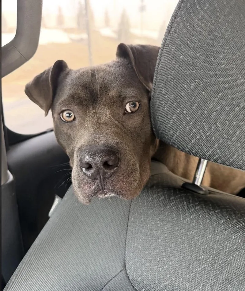 Hubba Bubba thumbnail 5