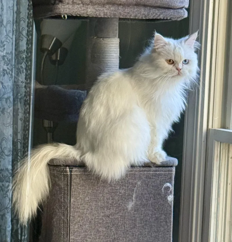 Oden & Blake  thumbnail 5