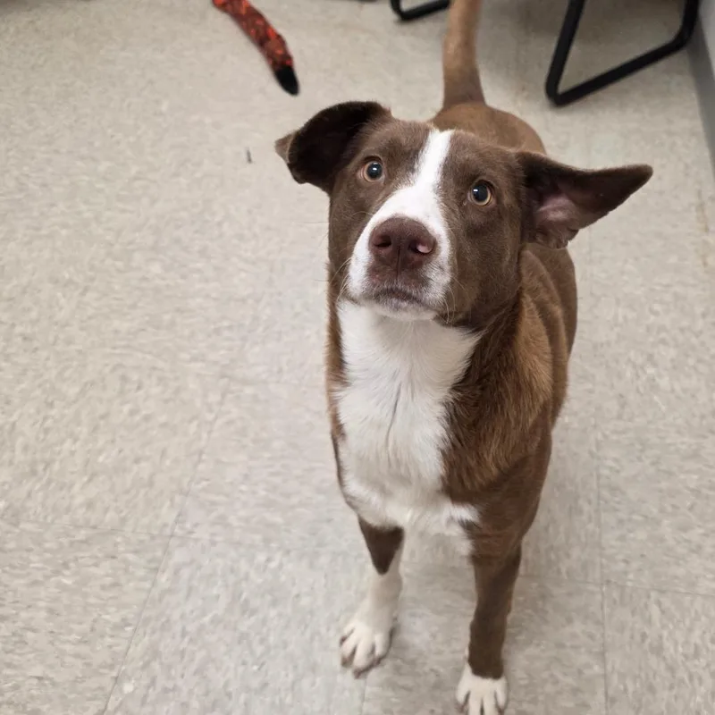 Fluorite thumbnail 2