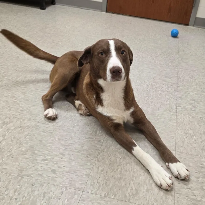 Fluorite thumbnail 3