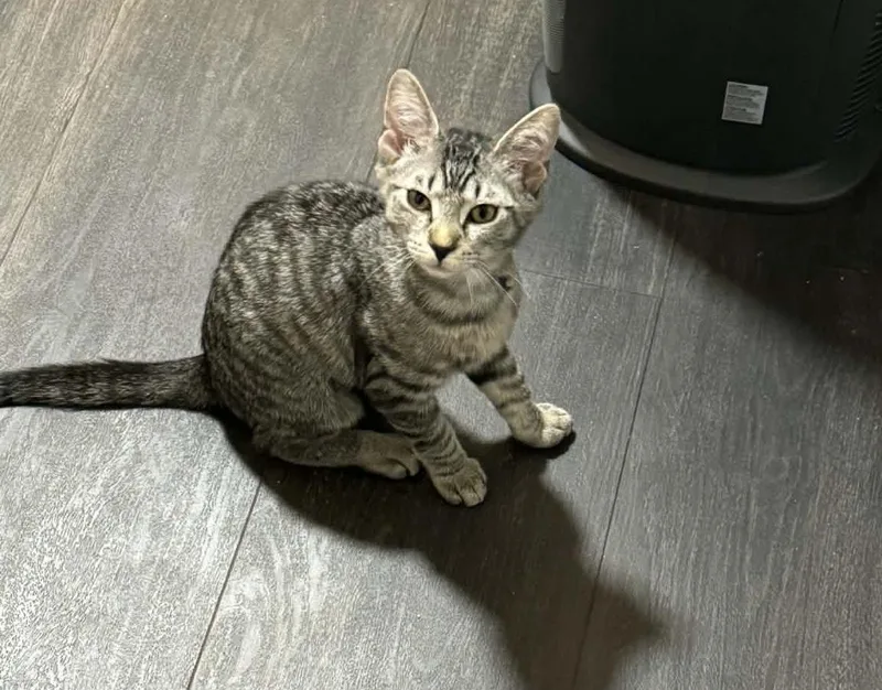 Charlotte Paschall thumbnail 2